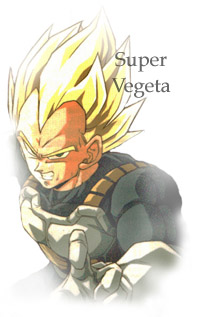 supa vegeta.jpg (24612 bytes)